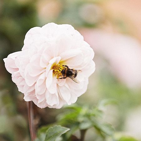 Gasthaus Hummel Duggendorf Esterno foto